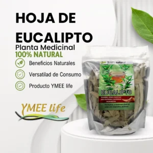 Hoja de Eucalipto (Planta Medicinal) 100% Natural YmeeLife